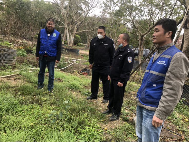 阜沙鎮禁毒信息〔2023〕第40期--阜沙鎮禁毒辦聯合公安分局開展禁種鏟毒踏查專項行動(2023.2