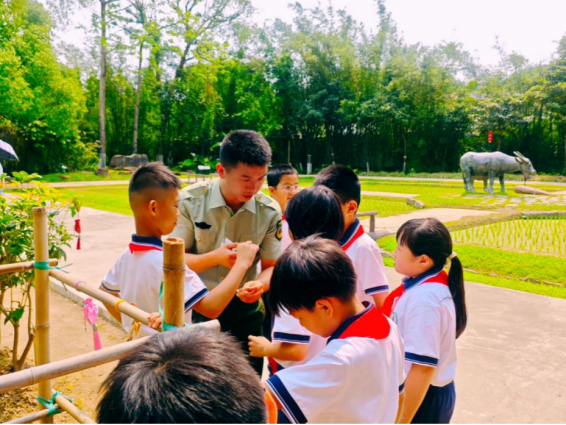 中山市退役軍人事務系統開展全民國家安全教育日系列主題活動